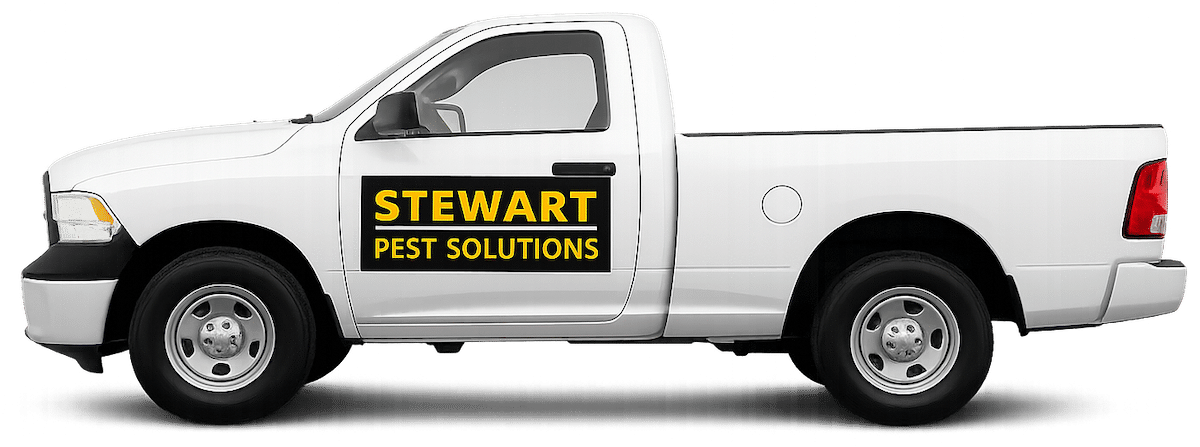 StewartTruck