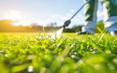 Monthly Pest Control Packages in Lansing, MI
